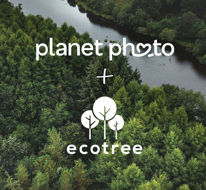 Unser Partner EcoTree