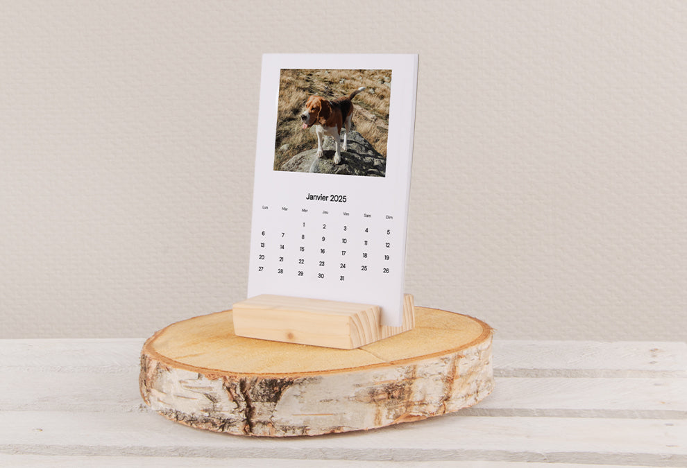 Calendrier avec support bois au format portrait posé sur un rondin de bois, ouvert sur le mois de janvier 2025 avec la photo d'un chien dans la nature et la grille du mois de janvier 2025.